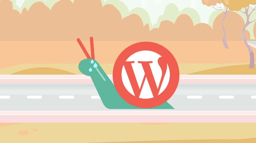Slow-Wordpress-Site